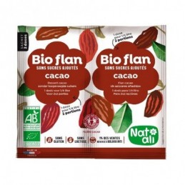 Bioflan chocolat 11g