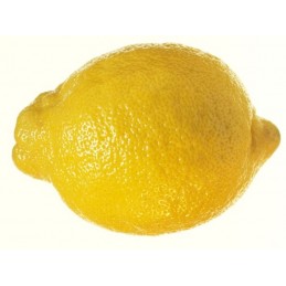 Citron ab