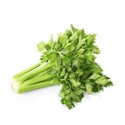Celeri branche ab